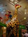 giraffe.jpg