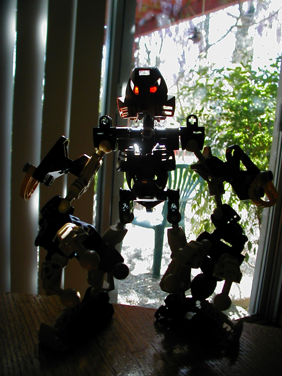 silhouette.jpg