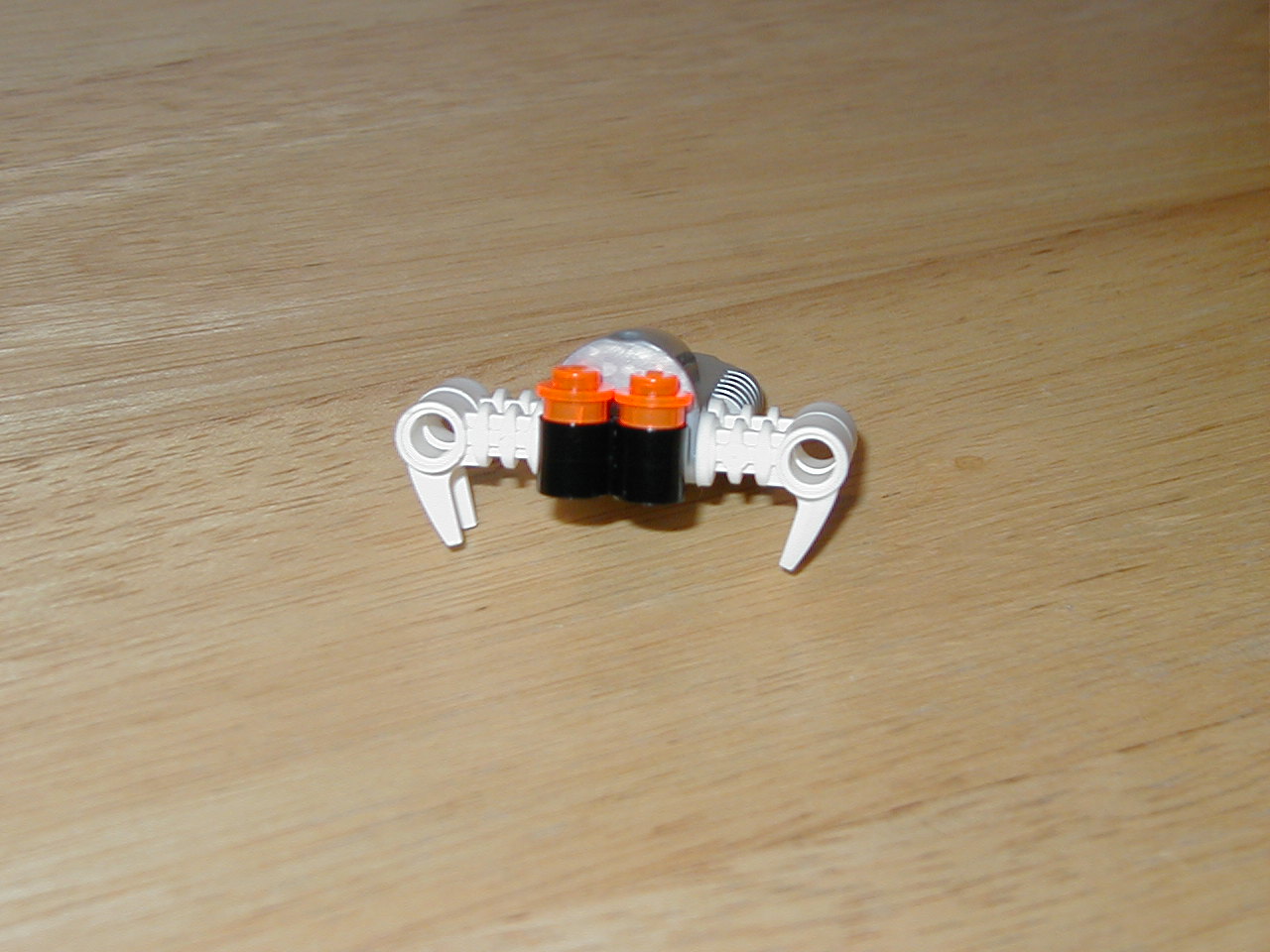 larva.jpg