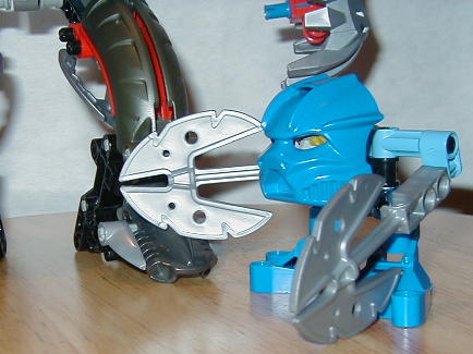 chopfoot.jpg
