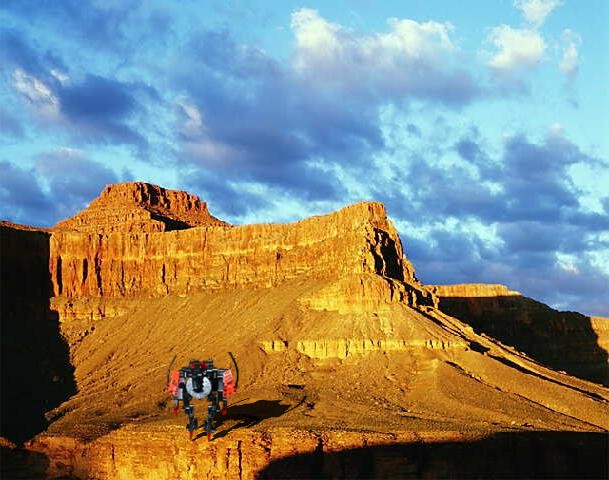 canyonhopper.jpg