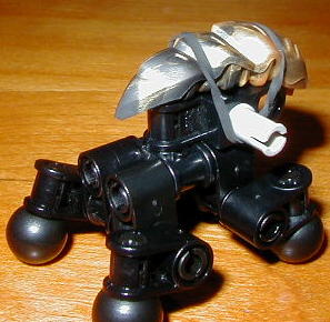 pb290003.jpg