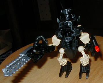 pa210003.jpg