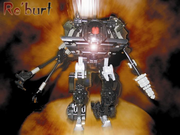 reburt_poster.jpg