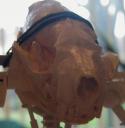 lookin_at_ya.jpg