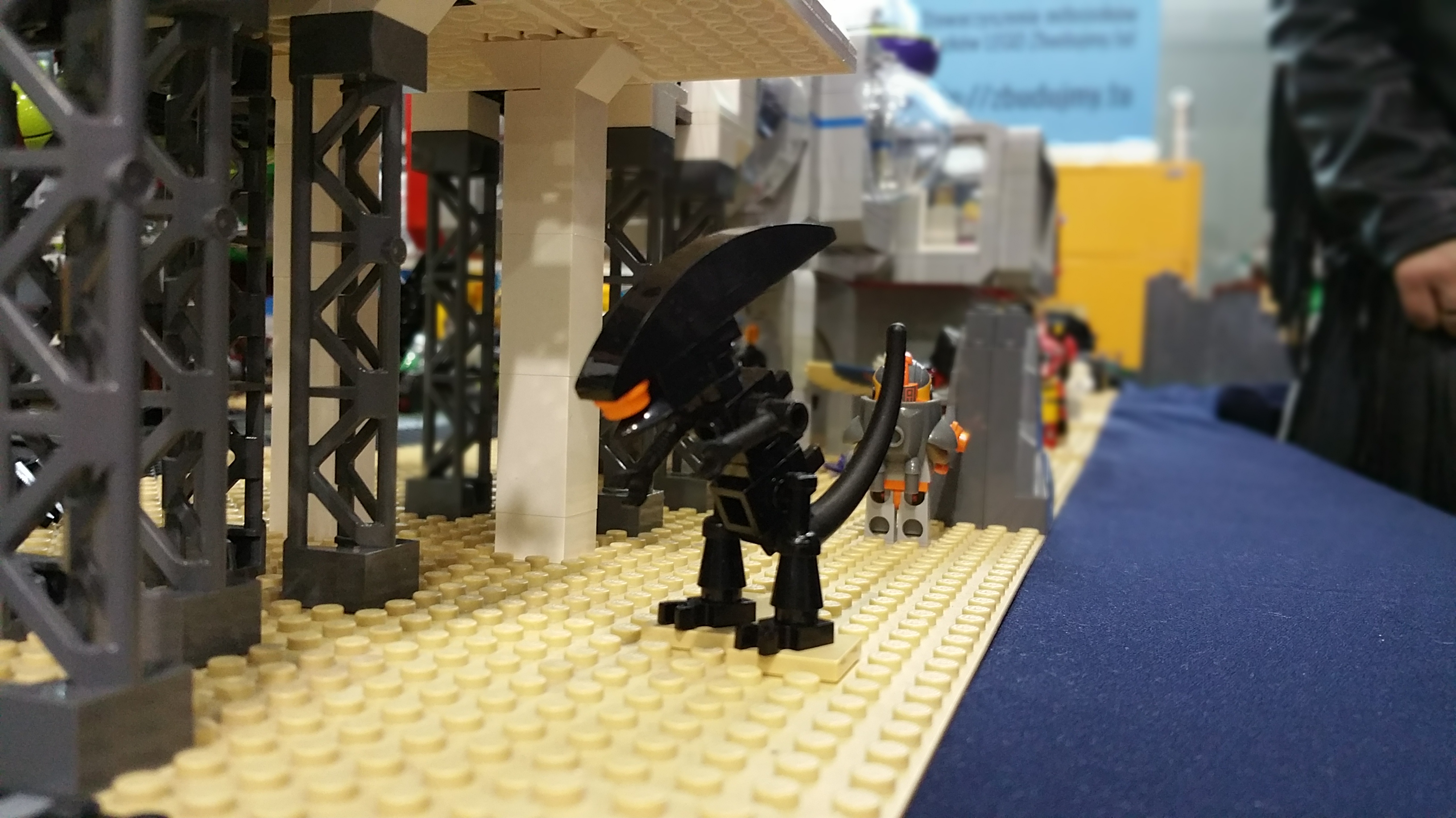 20150425_172521.jpg