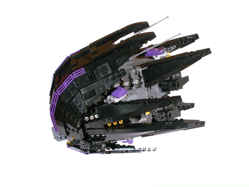t010.jpg