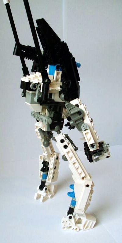 w3.jpg