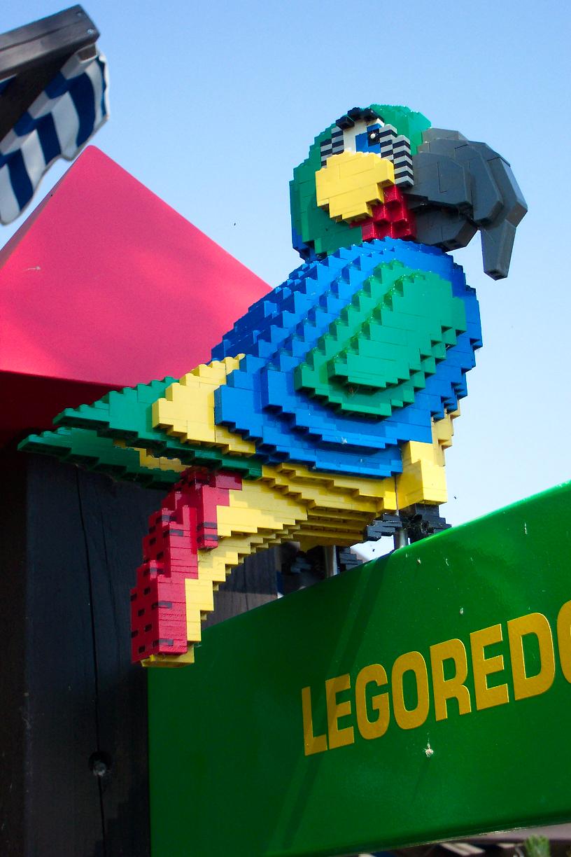 parrot.jpg