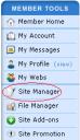 sitemanager.jpg