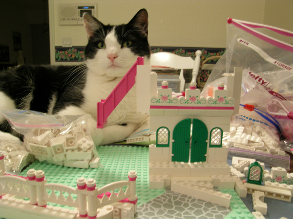 acatbuilder.jpg