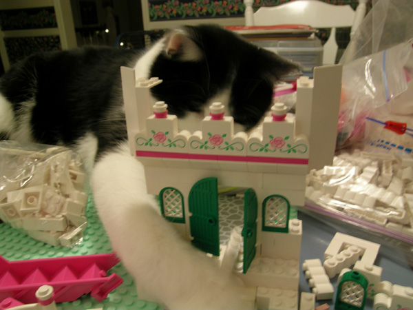 building.jpg