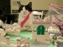 CatBuilder