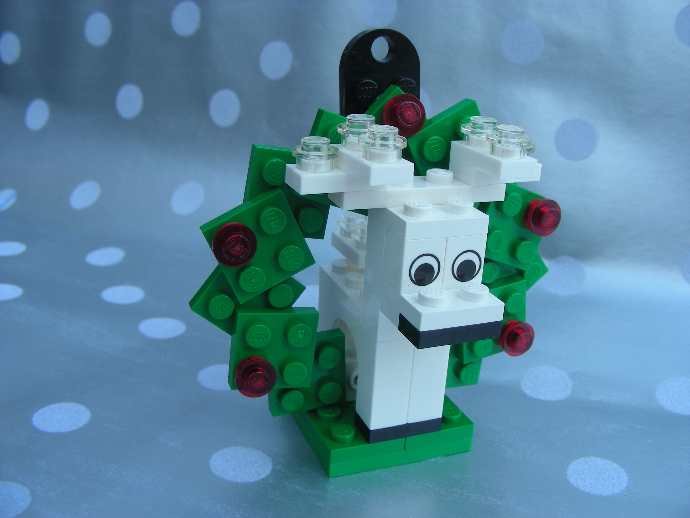 dscn2256.jpg