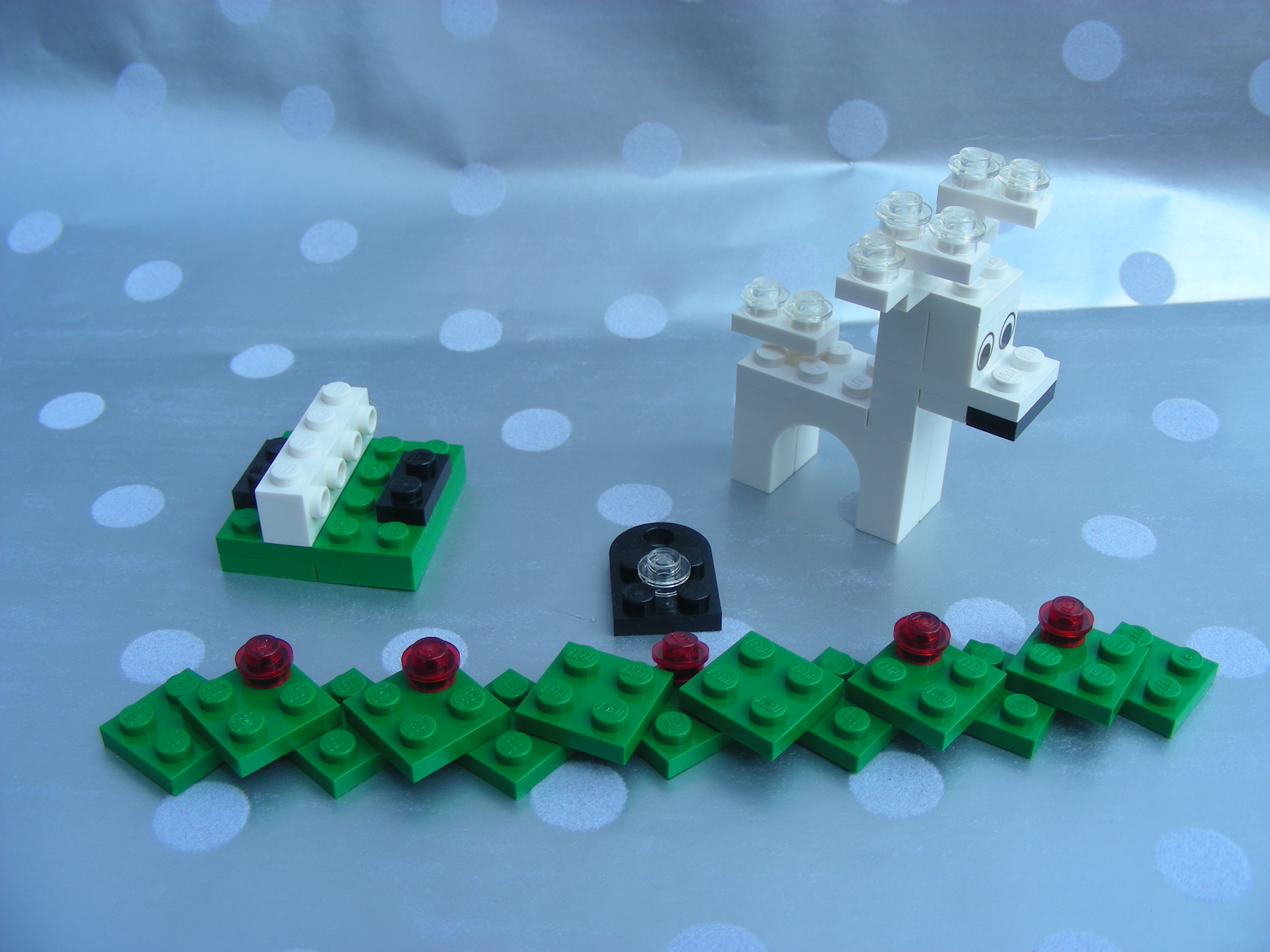 dscn2261.jpg