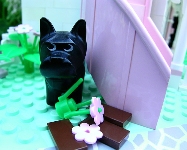digflowers.jpg