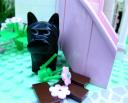 digflowers.jpg