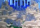 icewater2.jpg