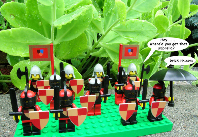 knights1.jpg