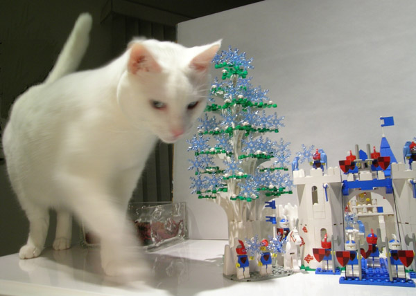 acatattack.jpg