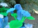 parrot-2.jpg