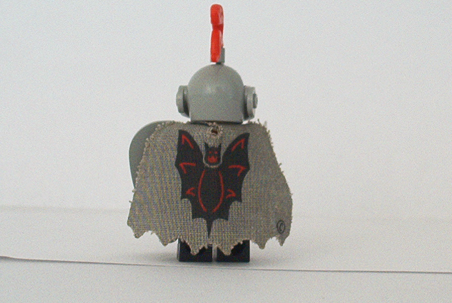 bat_knight_back.jpg