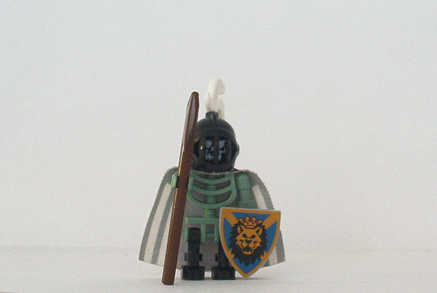 skelleton_knight.jpg