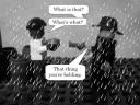 100_7578.jpg