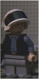 rebpic.jpg