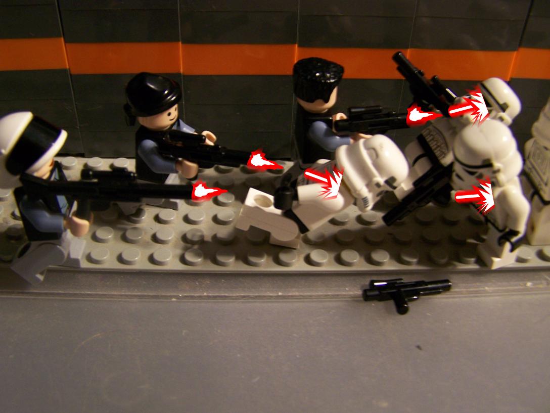 100_2782.jpg