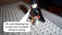 100_0278.jpg