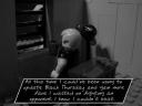 100_7473.jpg