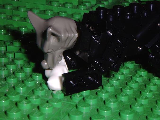 direwolf03.jpg