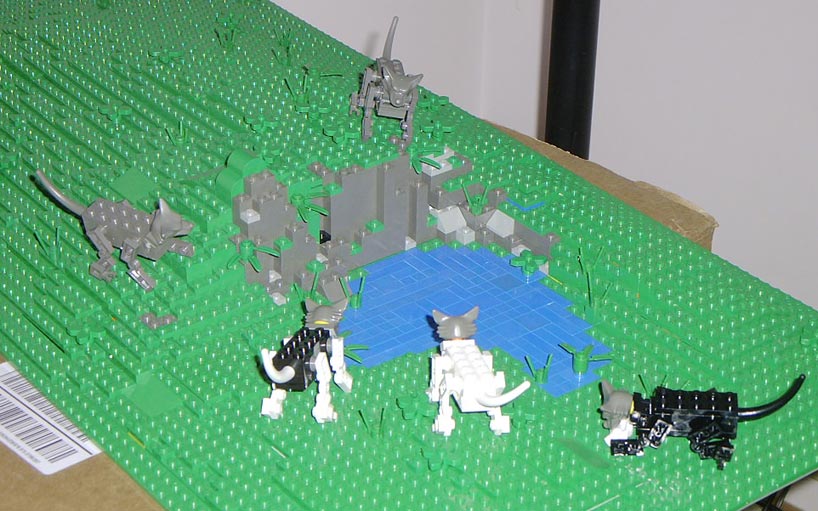 direwolf04.jpg