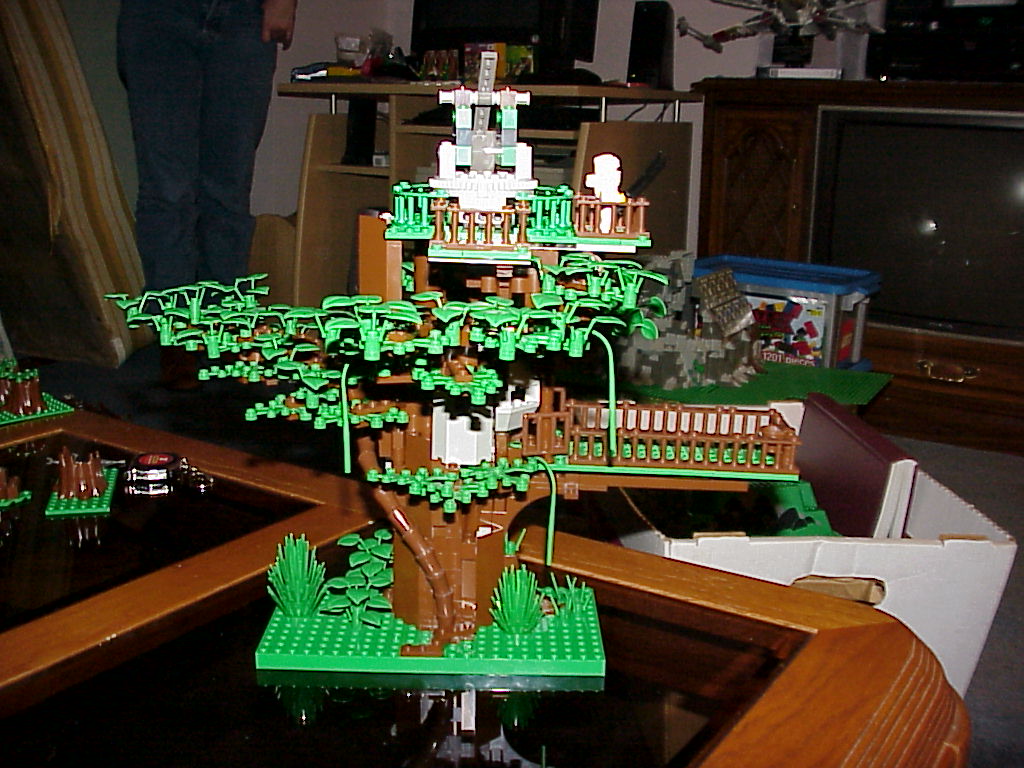 mvc-040x.jpg