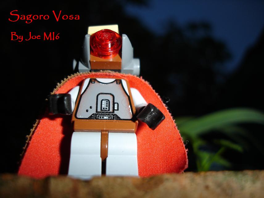 sagoro_vosa.jpg