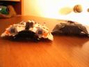 comparison_between_snowspeeders_rears.jpg