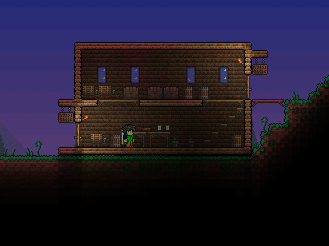maxx_pub.jpg