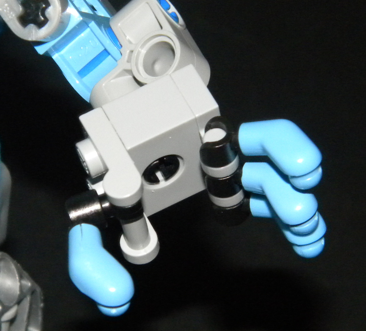amaya_hand_closeup.jpg
