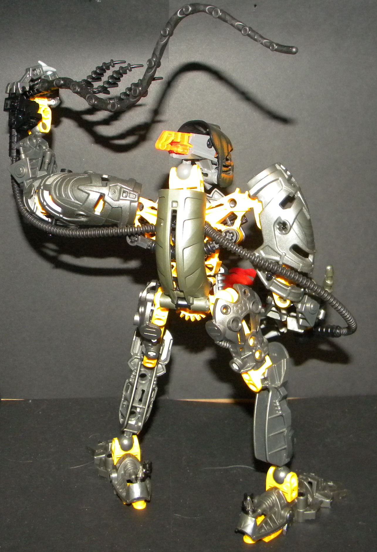 blight_back.jpg