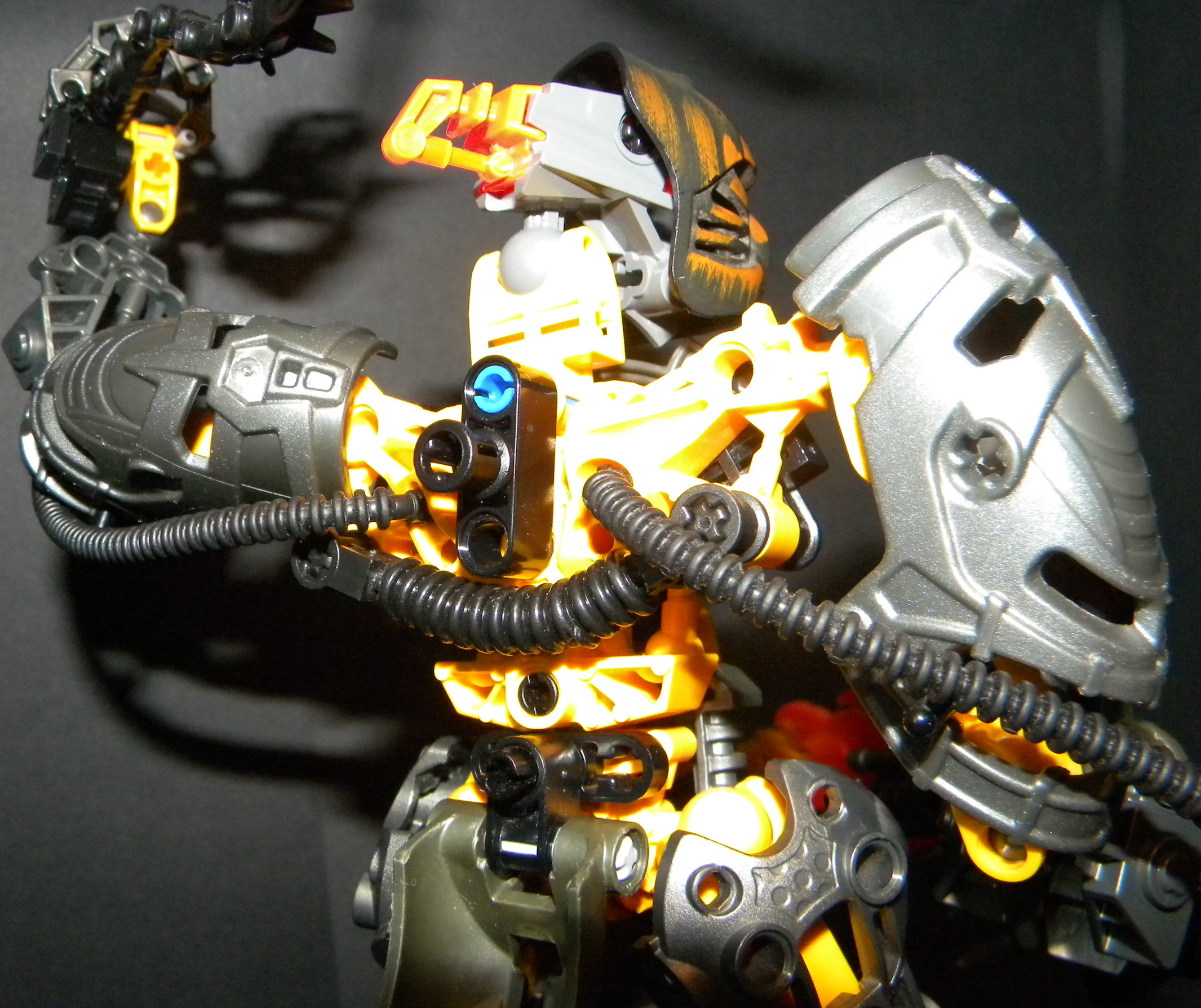 blight_back_closeup.jpg