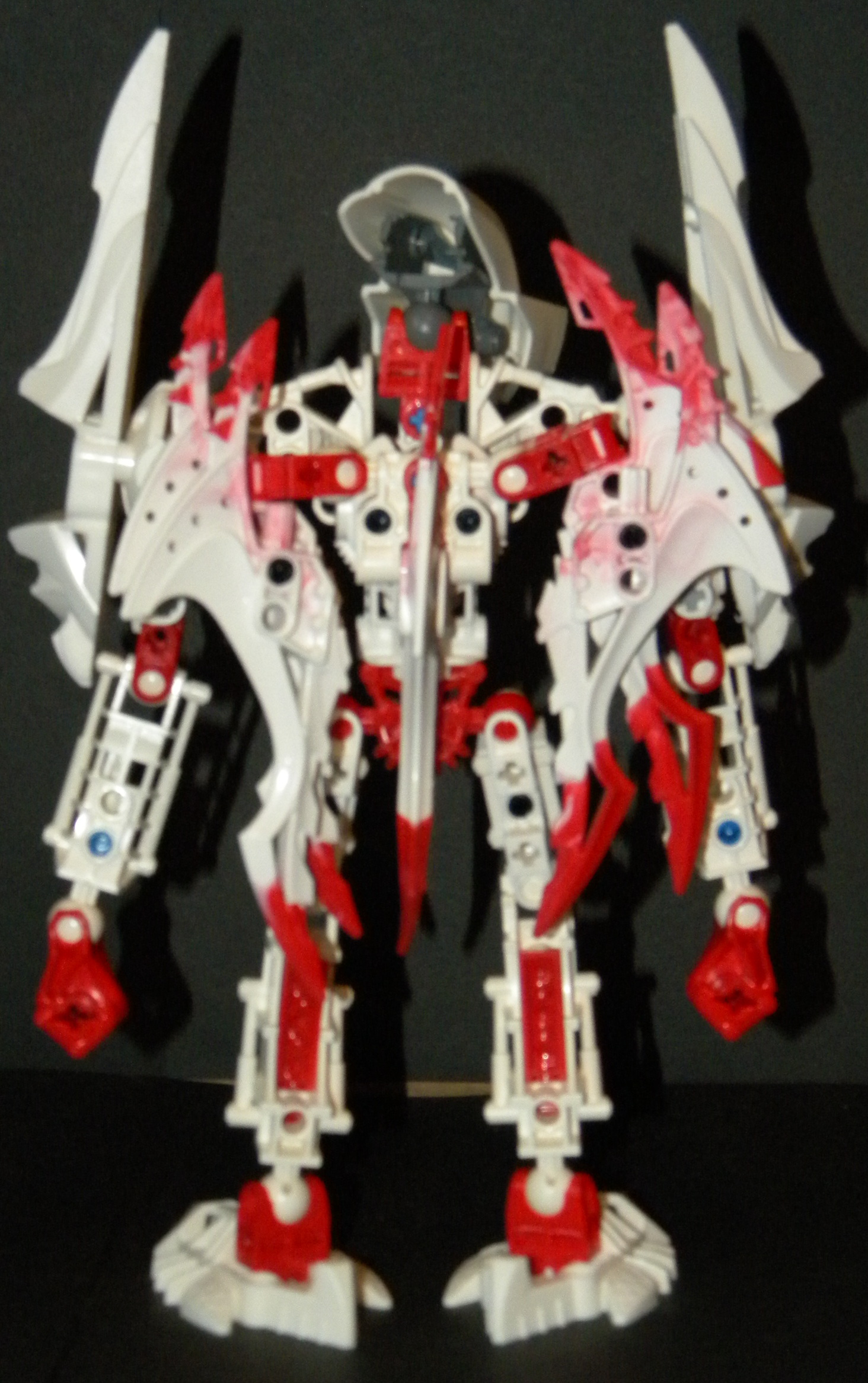cirek_back.jpg