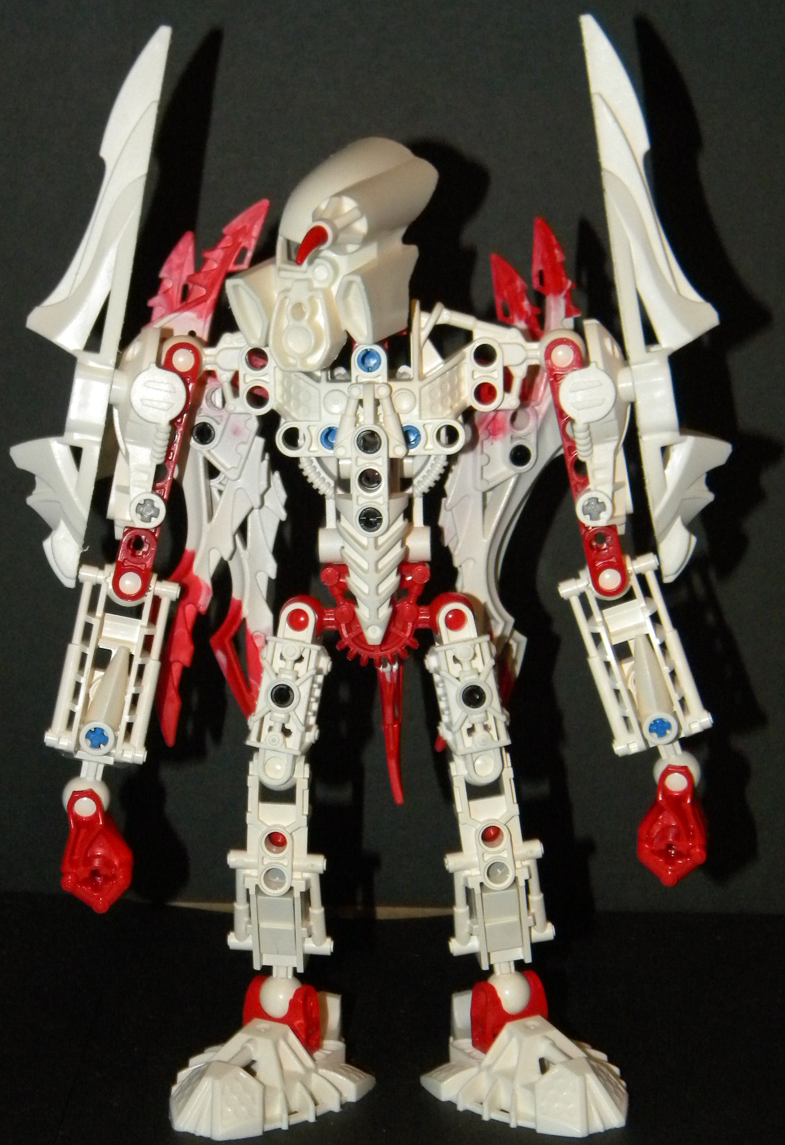 cirek_front.jpg