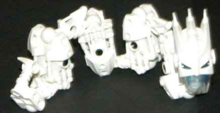 metus_resized.jpg