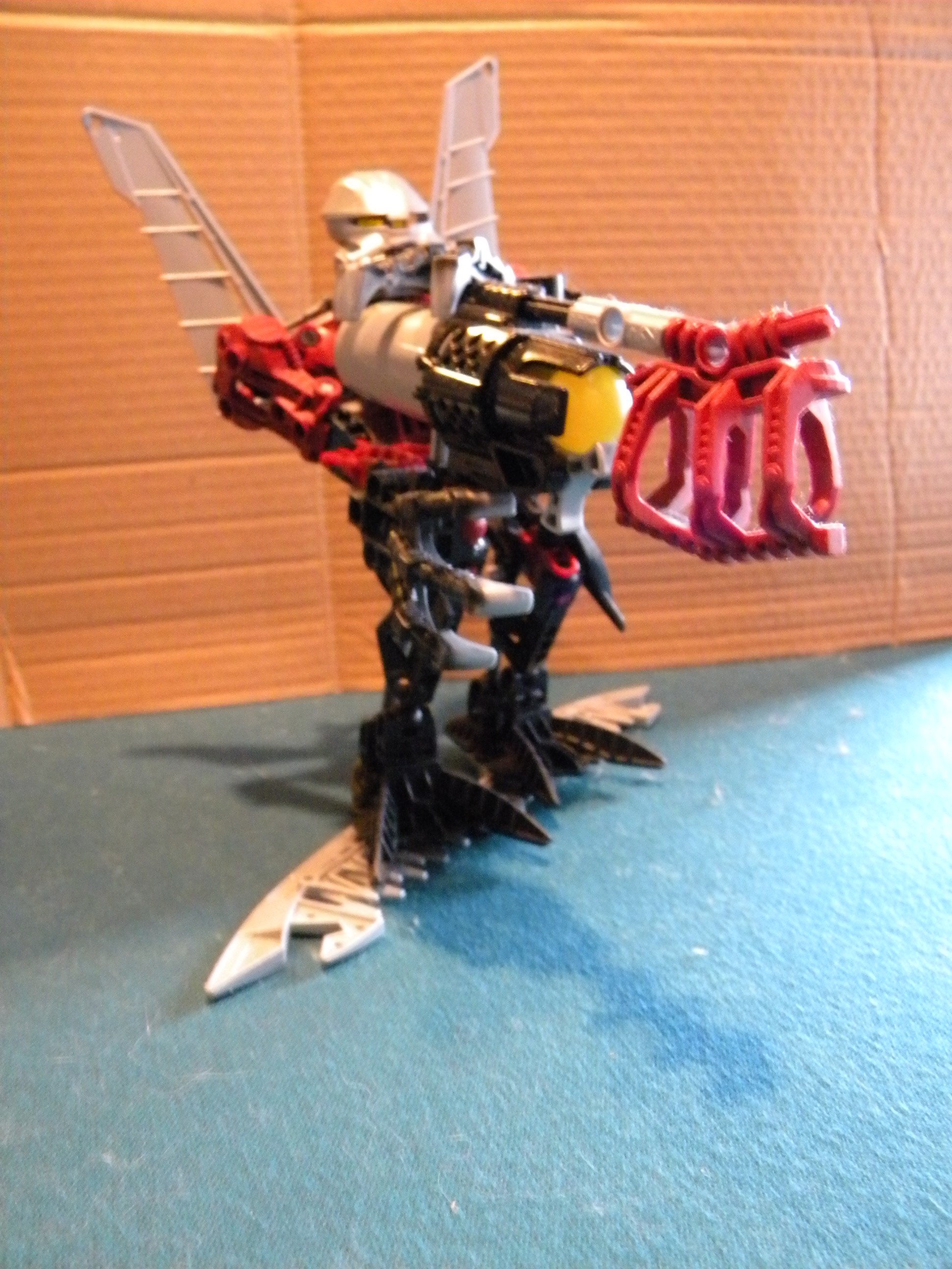 dscn6555.jpg