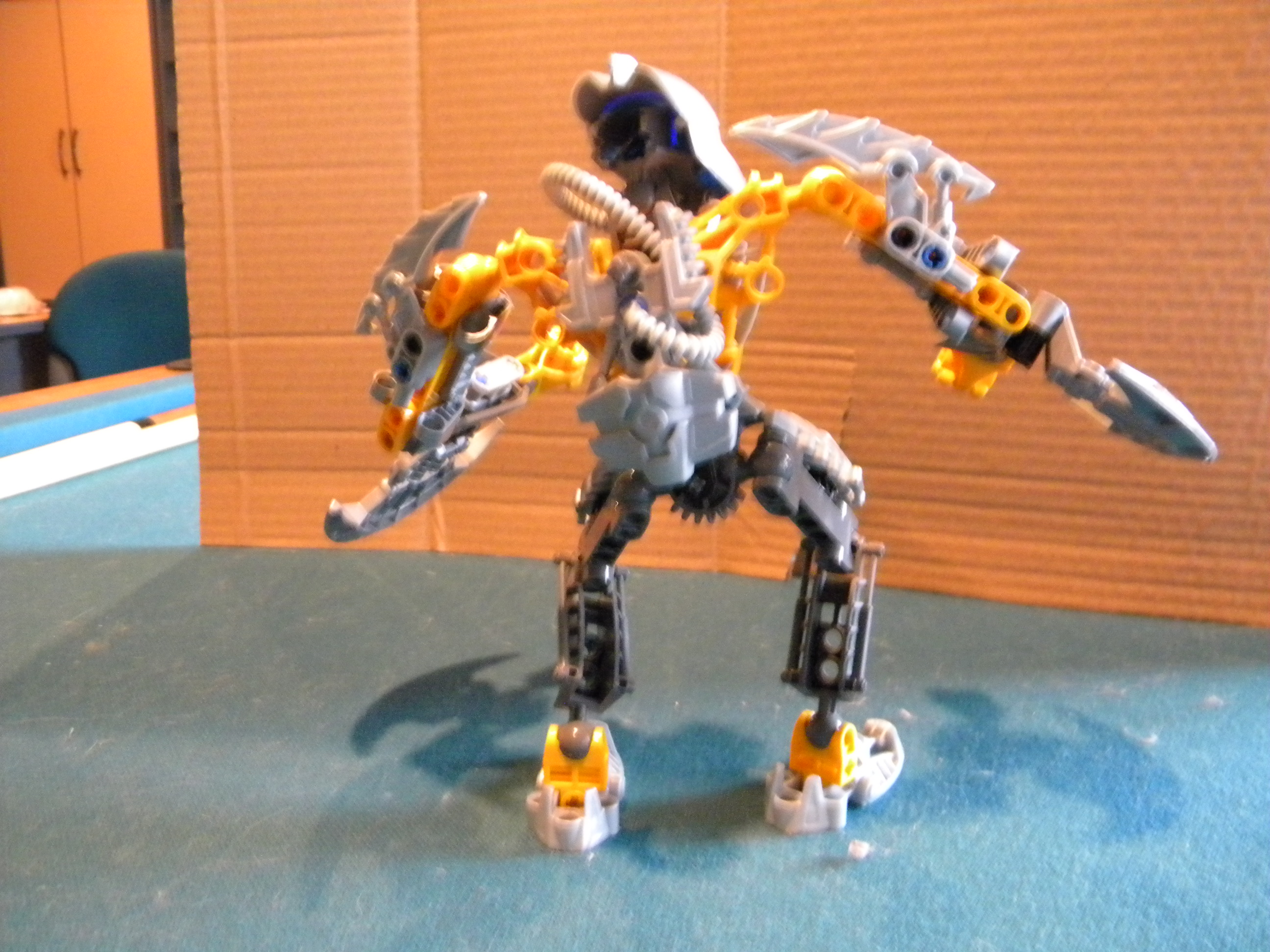 dscn6565.jpg