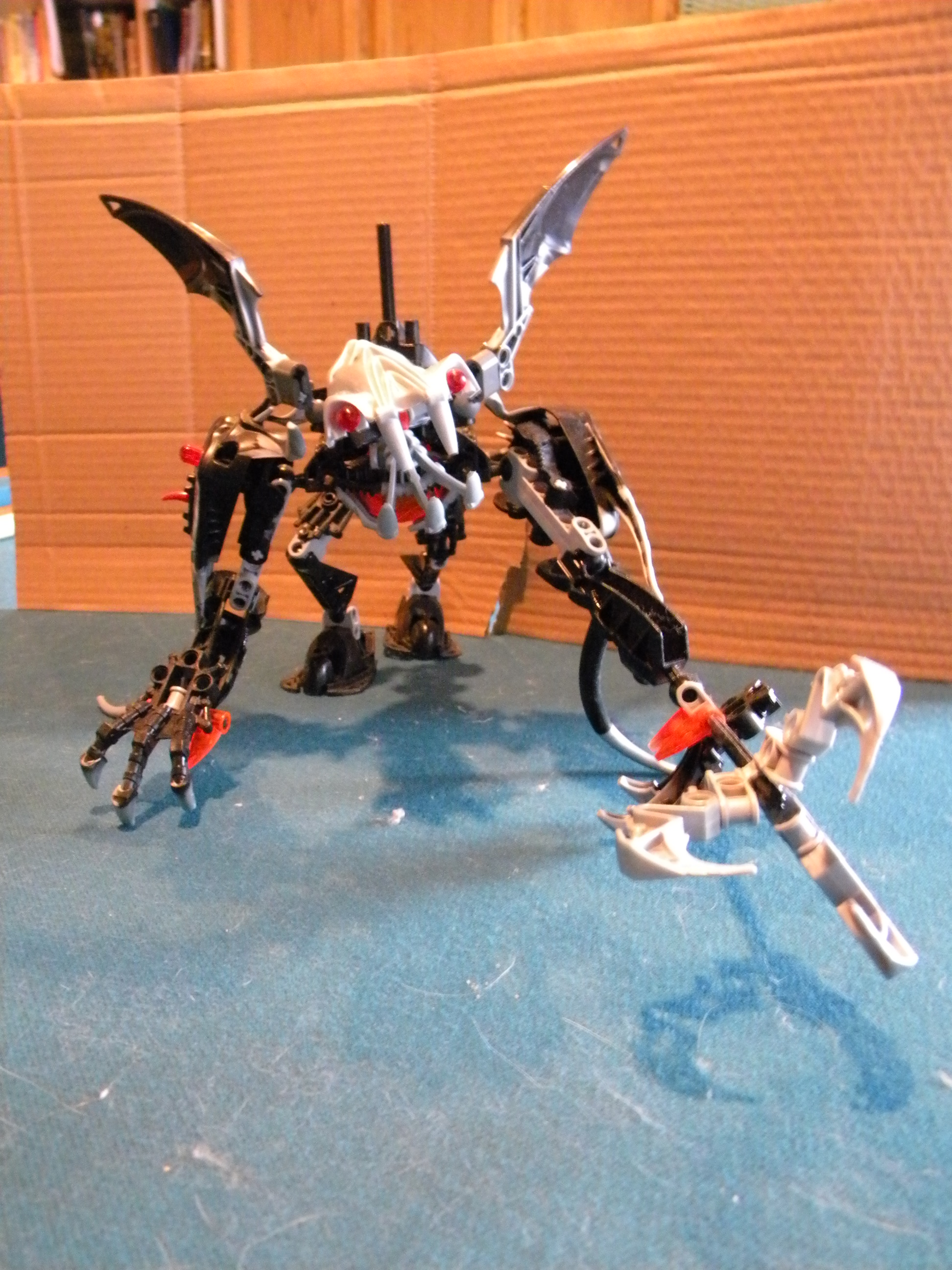 dscn6573.jpg