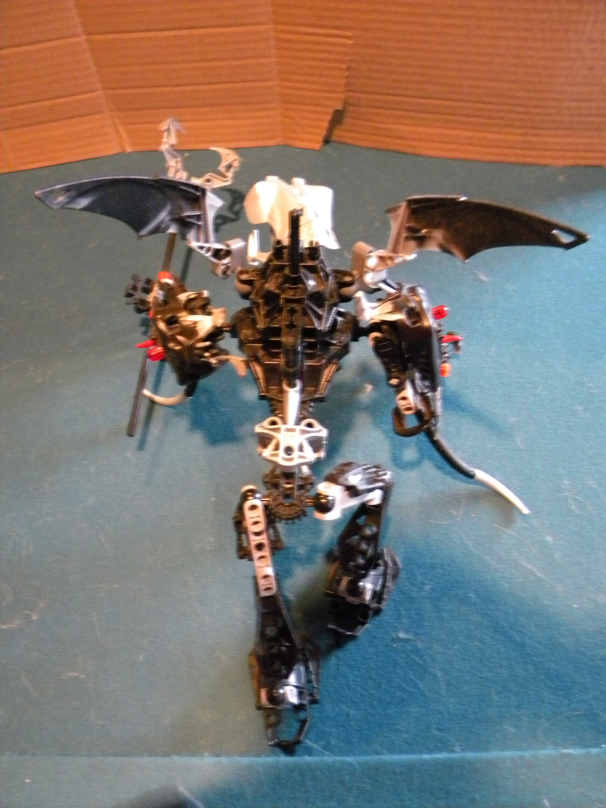 dscn6575.jpg