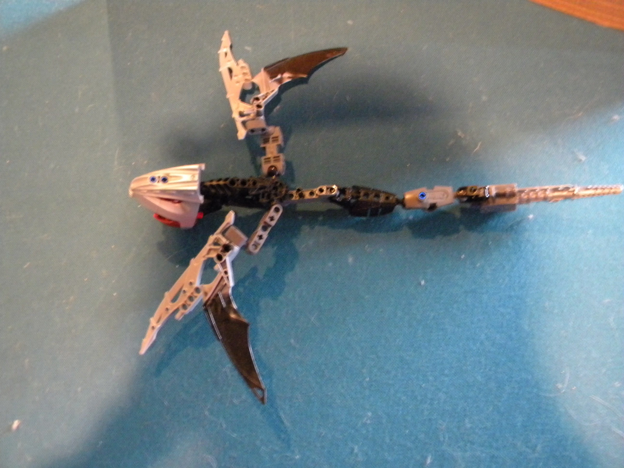 dscn6582.jpg
