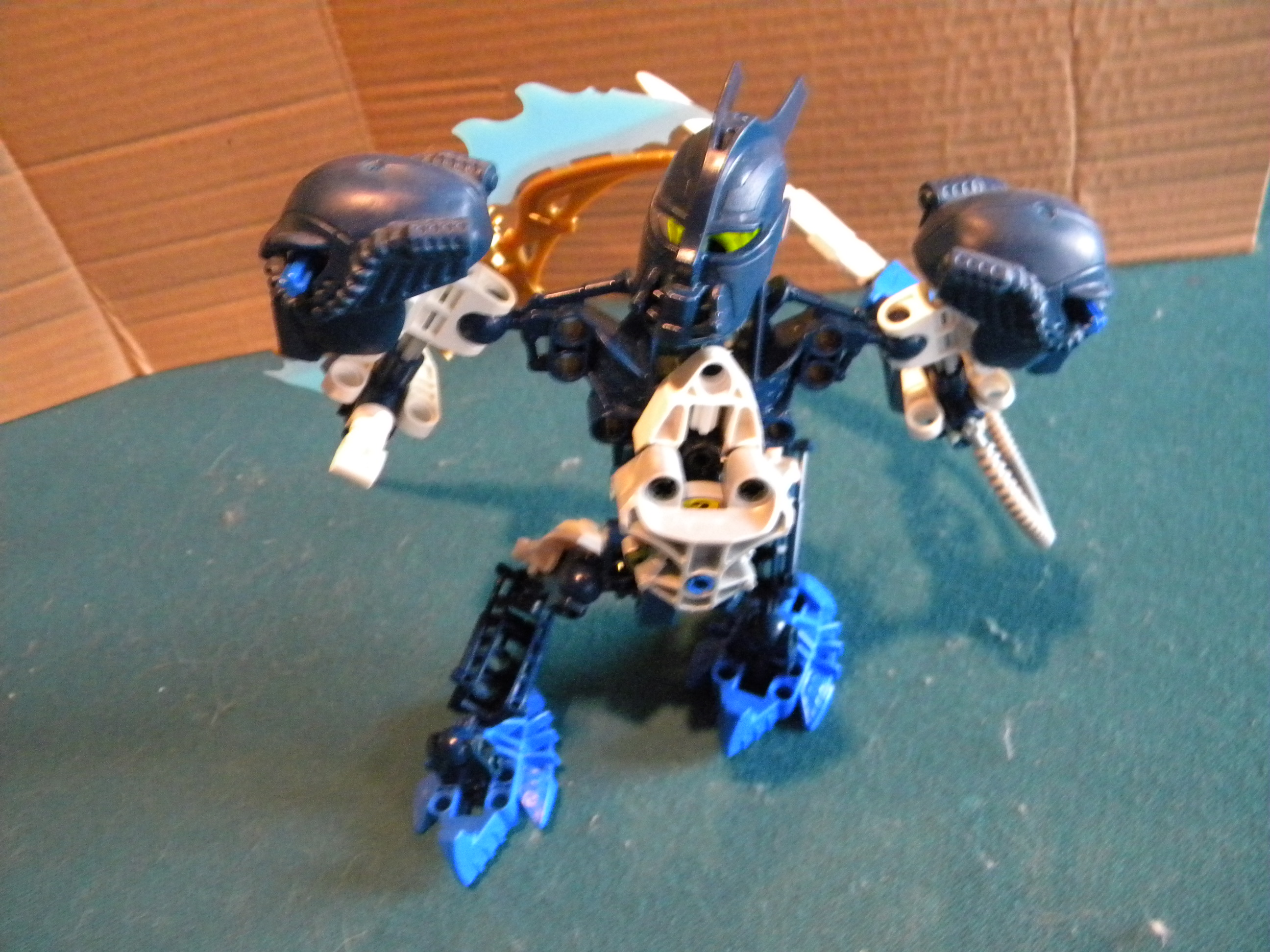 dscn6589.jpg
